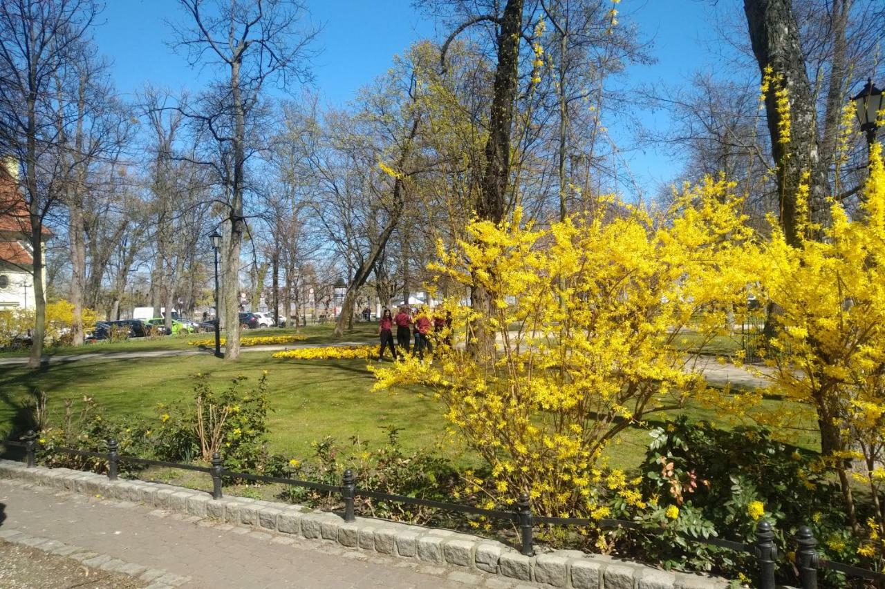 Blekitny Wieloryb Przy Plazy, Molo, Idealny Dla Podroznikow Appartamento *